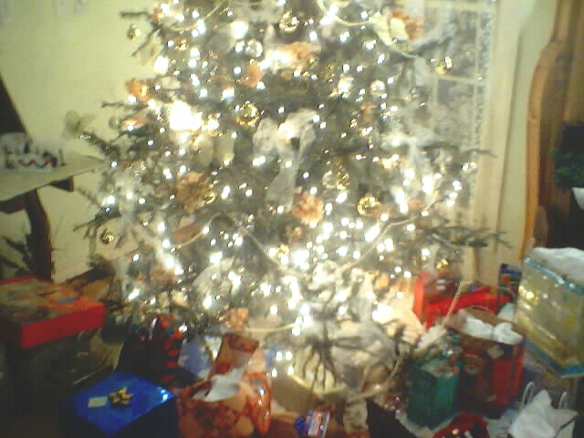 021225_mo_christmas_0076.jpg (96532 bytes)